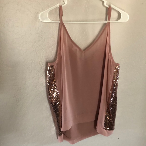 Blush Colored Sequence Glitter Chiffon Top - Picture 7 of 8
